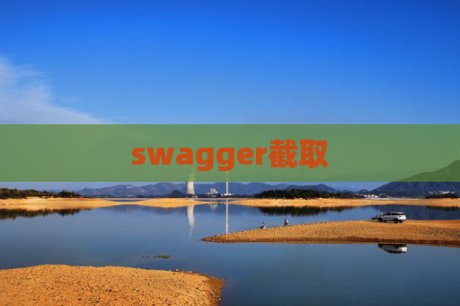 swagger截取
